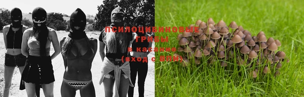 MDMA Premium VHQ Карпинск